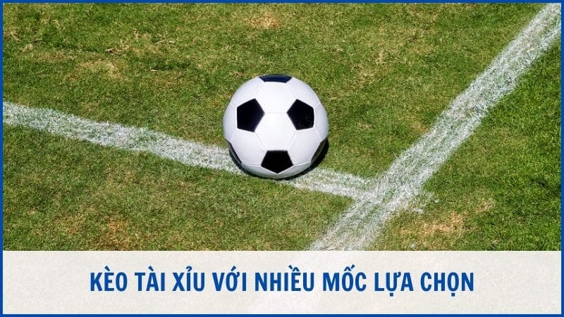 Kèo Tài Xỉu với nhiều mốc lựa chọn cho người chơi