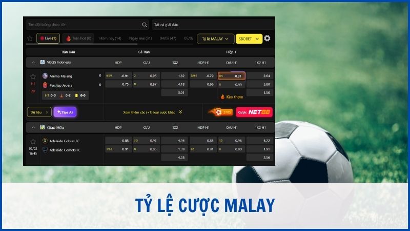 Tỷ lệ cược Malay là dạng phổ biến nhất