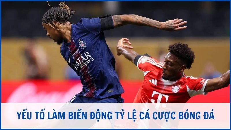 Yếu tố làm biến động tỷ lệ cá cược bóng đá tại nhà cái